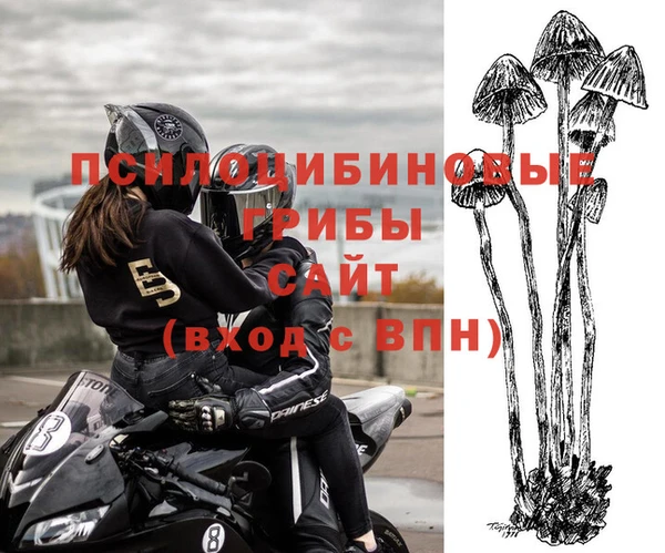 скорость Алексеевка