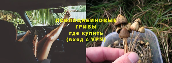 apvp Новодвинск