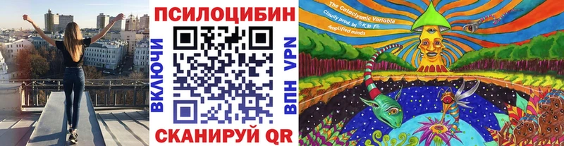 Галлюциногенные грибы Psilocybine cubensis  Плавск 